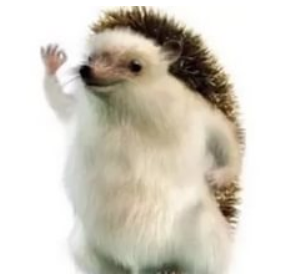 0003
