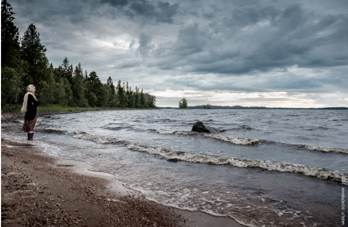 «Древо Водлозерья»